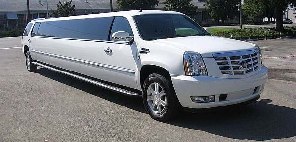 Planning a Bachelor or Bachelorette Party? Choose Our Limo Service